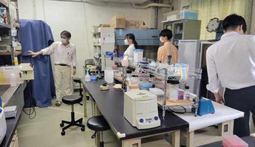 埼玉大学田中研究室で遺伝子の修復メカニズムなどについて学びました